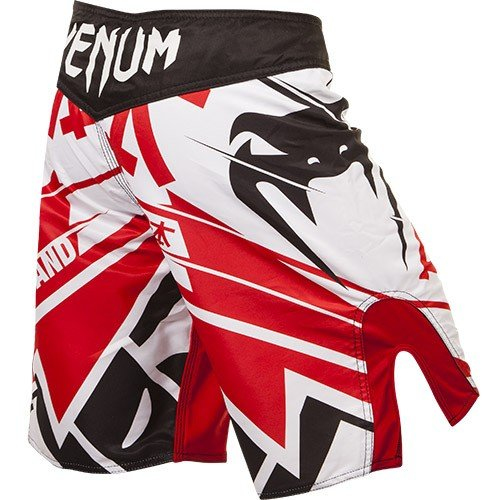 Шорты MMA Venum Wands Return UFC Japan - Ice фото